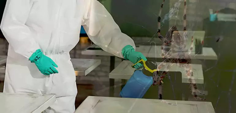 Why Buyers Still Want Homes With Pest Infestations in Milwaukee, WI?